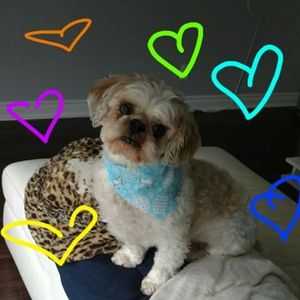 Meet your Posher, Amy